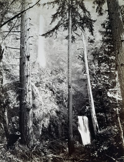 Multnomah Falls, Cascades, Columbia River by Carleton E. Watkins